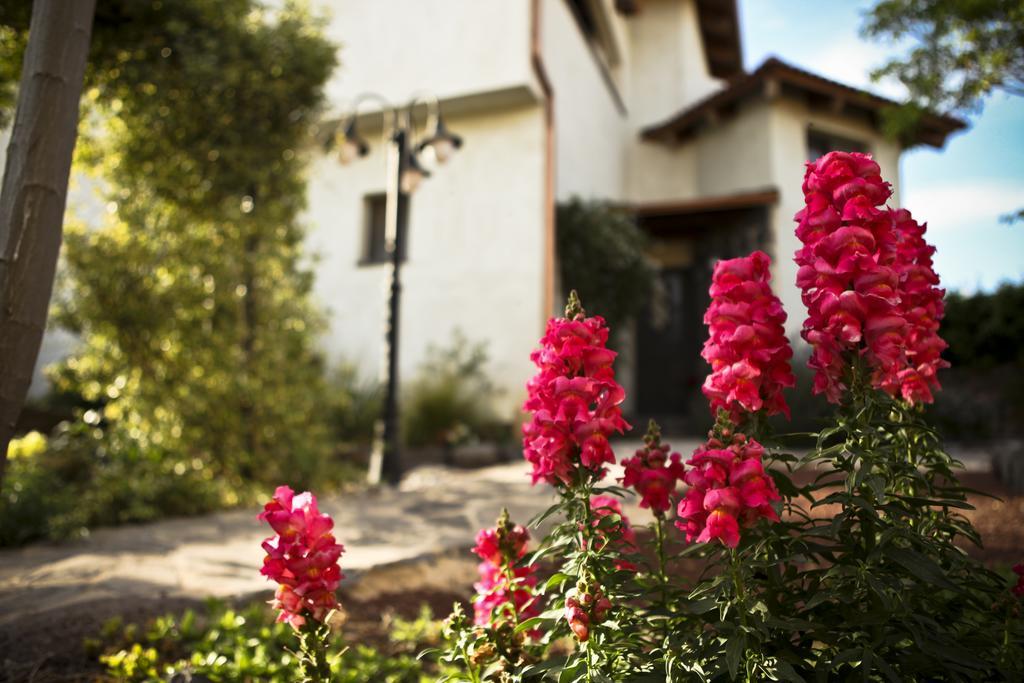 Villa Golan Qaşrīn Exterior foto